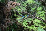 DSC_9042.JPG